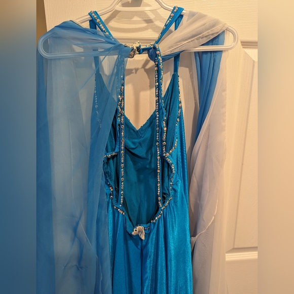 💙 FLO KERR 💙 Authentic/Vintage Ballroom Dress - Picture 8 of 15